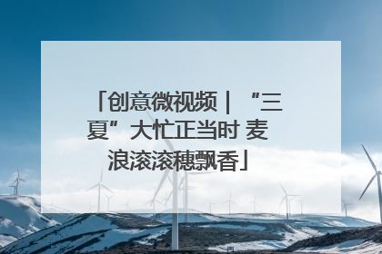创意微视频｜“三夏”大忙正当时 麦浪滚滚穗飘香