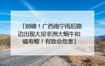 别碰！广西南宁雨后路边出现大量非洲大蜗牛和福寿螺！有致命危害