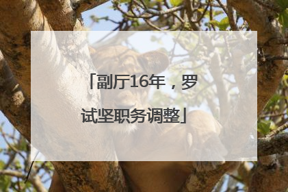 副厅16年，罗试坚职务调整
