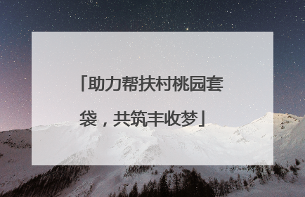 助力帮扶村桃园套袋，共筑丰收梦