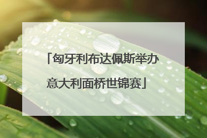匈牙利布达佩斯举办意大利面桥世锦赛