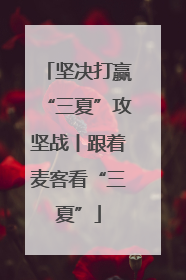 坚决打赢“三夏”攻坚战丨跟着麦客看“三夏”