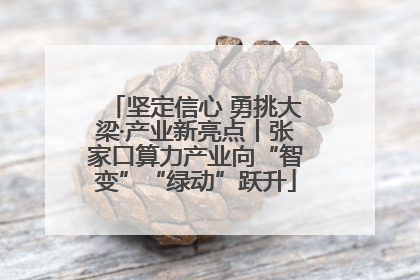 坚定信心 勇挑大梁·产业新亮点丨张家口算力产业向“智变”“绿动”跃升