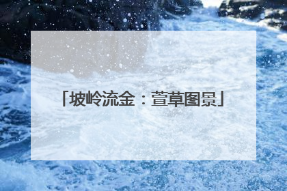 坡岭流金：萱草图景