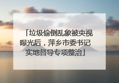 垃圾偷倒乱象被央视曝光后，萍乡市委书记实地督导专项整治