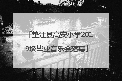 垫江县高安小学2019级毕业音乐会落幕