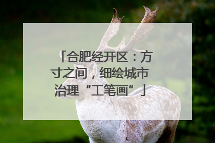 合肥经开区：方寸之间，细绘城市治理“工笔画”