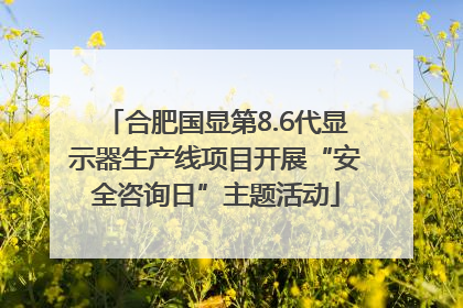 合肥国显第8.6代显示器生产线项目开展“安全咨询日”主题活动