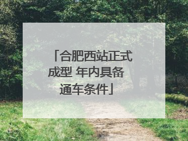 合肥西站正式成型 年内具备通车条件