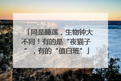 同是睡莲，生物钟大不同！有的是“夜猫子”，有的“值白班”