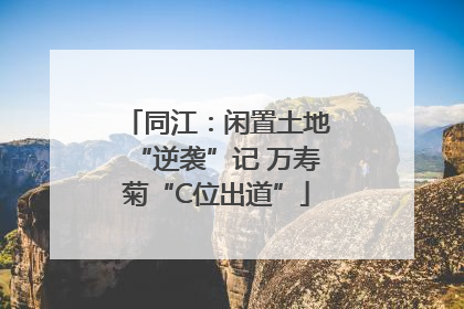 同江：闲置土地“逆袭”记 万寿菊“C位出道”