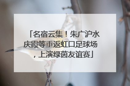 名宿云集！朱广沪水庆霞等重返虹口足球场，上演绿茵友谊赛