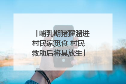 哺乳期猪獾溜进村民家觅食 村民救助后将其放生