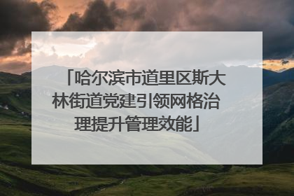 哈尔滨市道里区斯大林街道党建引领网格治理提升管理效能