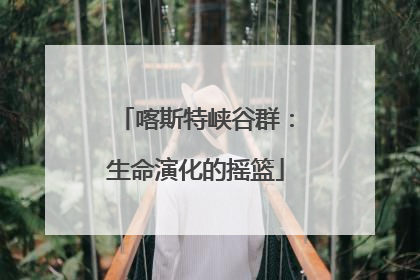 喀斯特峡谷群：生命演化的摇篮