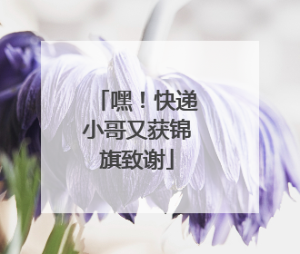 嘿！快递小哥又获锦旗致谢