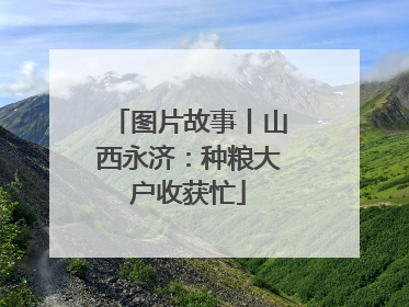 图片故事丨山西永济：种粮大户收获忙