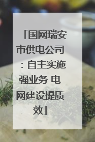 国网瑞安市供电公司：自主实施强业务 电网建设提质效