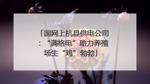 国网上杭县供电公司：“满格电”助力养殖场生“鸡”勃勃