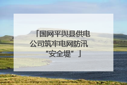 国网平舆县供电公司筑牢电网防汛“安全堤”