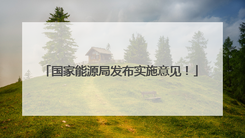 国家能源局发布实施意见！