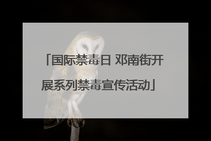 国际禁毒日 邓南街开展系列禁毒宣传活动