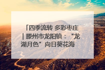 四季流转 多彩枣庄｜滕州市龙阳镇：“龙湖月色”向日葵花海 绘就乡村振兴新画卷