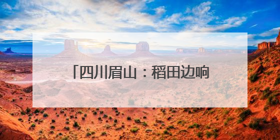 四川眉山：稻田边响起法槌声 巡回法庭现场化解耕地纠纷