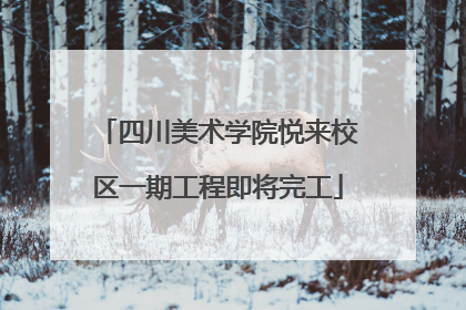 四川美术学院悦来校区一期工程即将完工