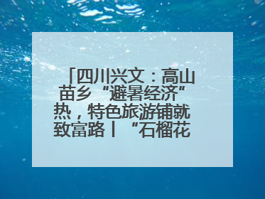四川兴文：高山苗乡“避暑经济”热，特色旅游铺就致富路丨“石榴花开”四川行⑧