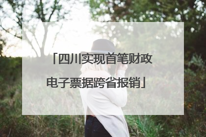四川实现首笔财政电子票据跨省报销