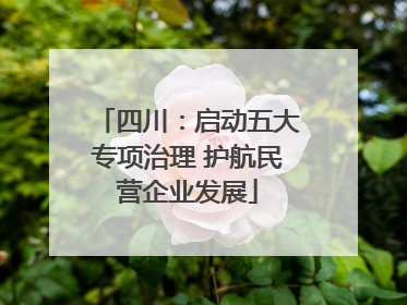 四川：启动五大专项治理 护航民营企业发展