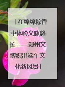 在绵绵粽香中体验文脉悠长——郑州文博织出端午文化新风景