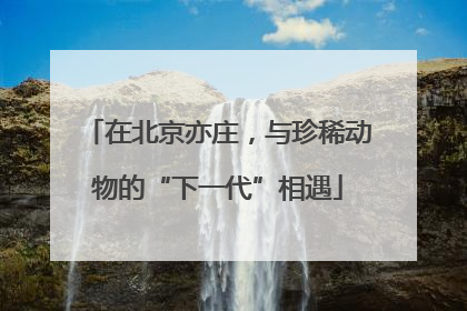在北京亦庄，与珍稀动物的“下一代”相遇