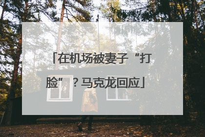 在机场被妻子“打脸”？马克龙回应