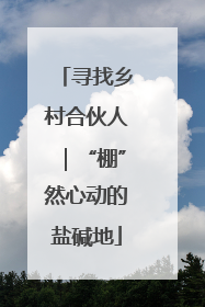 寻找乡村合伙人｜“棚”然心动的盐碱地