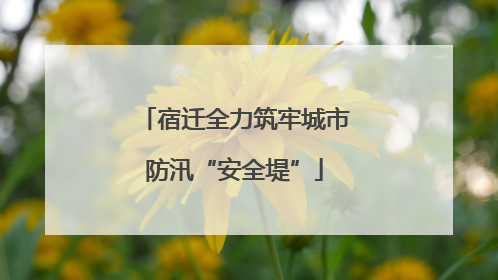 宿迁全力筑牢城市防汛“安全堤”