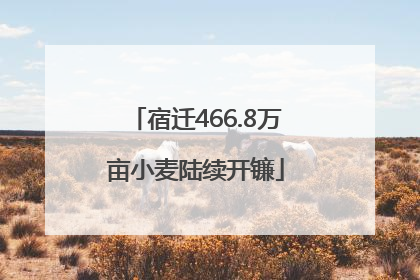 宿迁466.8万亩小麦陆续开镰