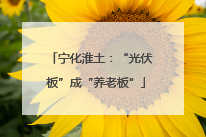 宁化淮土：“光伏板”成“养老板”