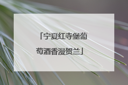 宁夏红寺堡葡萄酒香漫贺兰