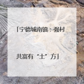 宁德城南镇：强村共富有“土”方