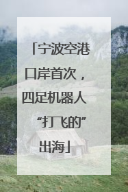 宁波空港口岸首次，四足机器人“打飞的”出海