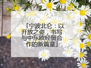 宁波北仑：以开放之姿，书写与中东欧经贸合作的新篇章