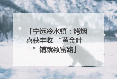 宁远冷水镇：烤烟喜获丰收 “黄金叶”铺就致富路