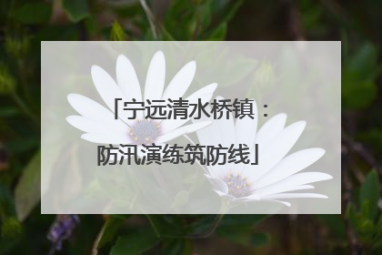 宁远清水桥镇：防汛演练筑防线