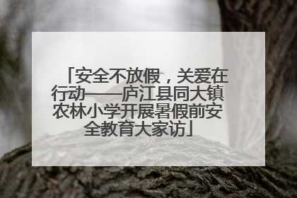 安全不放假，关爱在行动——庐江县同大镇农林小学开展暑假前安全教育大家访