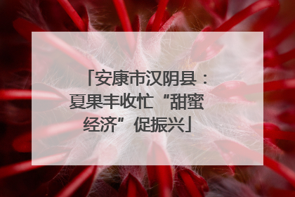 安康市汉阴县：夏果丰收忙“甜蜜经济”促振兴