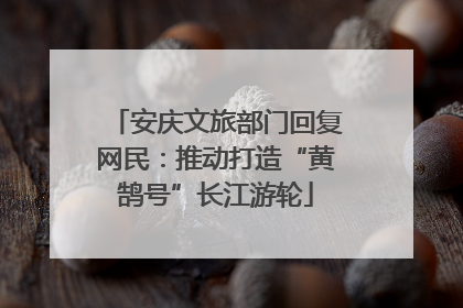 安庆文旅部门回复网民：推动打造“黄鹄号”长江游轮