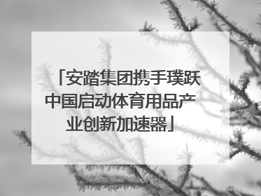 安踏集团携手璞跃中国启动体育用品产业创新加速器
