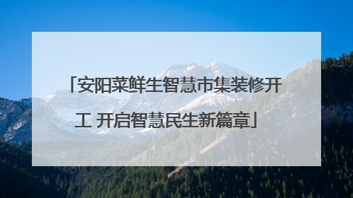 安阳菜鲜生智慧市集装修开工 开启智慧民生新篇章